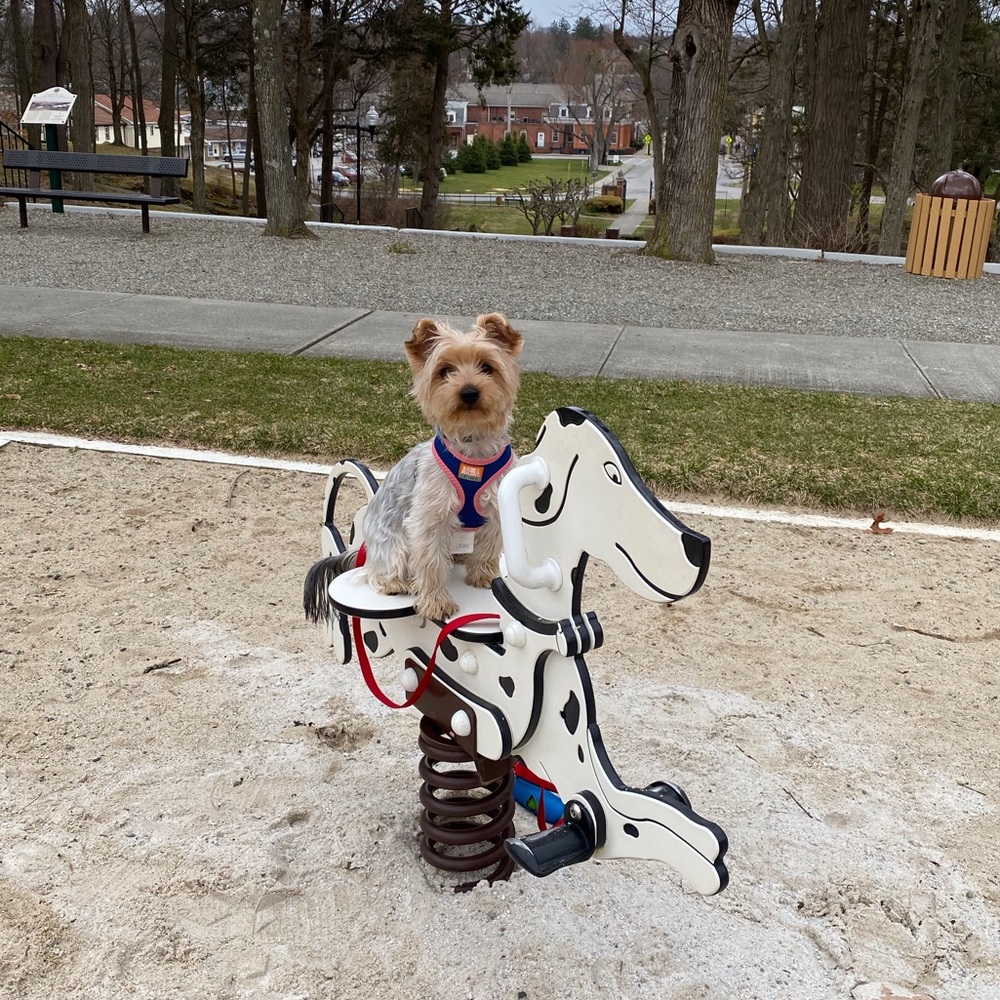 Meet your Posher, Ashley